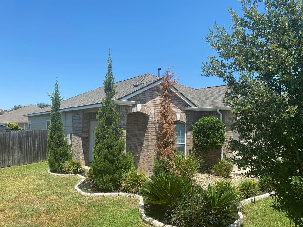 Brick house with tall trees and lush landscaping under a clear blue sky.