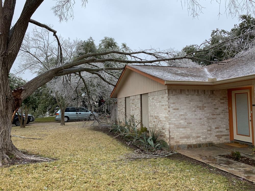Icy tree branch precariously leaning over a residential home, showcasing winter storm damage.