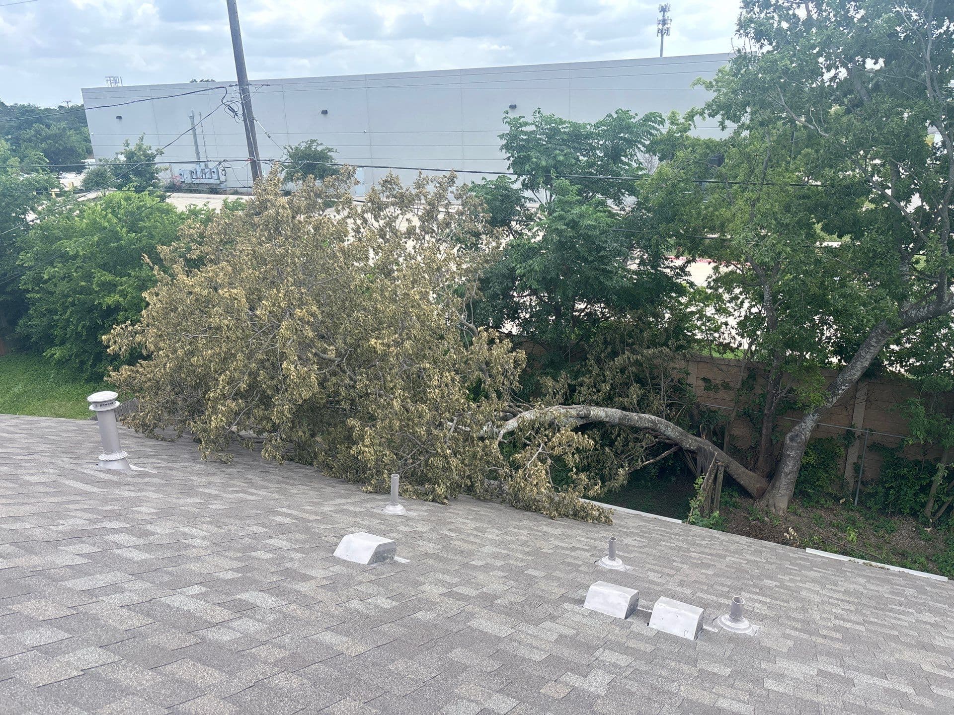 Storm Damage Roof Repair After Tree Fall in Round Rock TX image